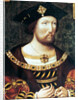 Henry VIII, King of England and Ireland, c1520 by Anonymous