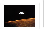 View of Earth from Apollo 10 orbiting the Moon, 1969 by Unknown