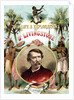 David Livingstone, Scottish missionary and explorer of Africa, c1875 by Unknown