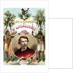 David Livingstone, Scottish missionary and explorer of Africa, c1875 by Unknown