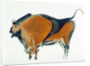 Bison, copy of a Palaeolithic cave painting at Altamira, northern Spain, 1913 by Unknown