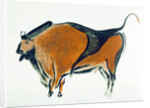 Bison, copy of a Palaeolithic cave painting at Altamira, northern Spain, 1913 by Unknown