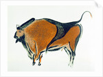 Bison, copy of a Palaeolithic cave painting at Altamira, northern Spain, 1913 by Unknown