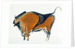 Bison, copy of a Palaeolithic cave painting at Altamira, northern Spain, 1913 by Unknown