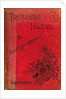 Cover of Treasure Island by Robert Louis Stevenson, 1886 by Unknown