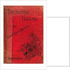 Cover of Treasure Island by Robert Louis Stevenson, 1886 by Unknown