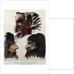 The Demons Ashtaroth, Abaddon and Mammon, 1801 by Unknown