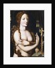St Mary Magdalene Repentant by Unknown