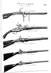 Examples of various gun firing mechanisms, c1880 by Unknown