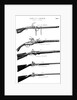 Examples of various gun firing mechanisms, c1880 by Unknown