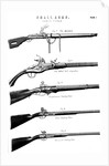 Examples of various gun firing mechanisms, c1880 by Unknown
