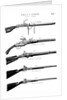 Examples of various gun firing mechanisms, c1880 by Unknown