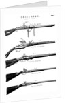 Examples of various gun firing mechanisms, c1880 by Unknown