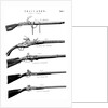 Examples of various gun firing mechanisms, c1880 by Unknown