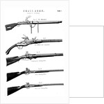 Examples of various gun firing mechanisms, c1880 by Unknown