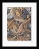 Acanthus, wallpaper designed by William Morris, 1875 by William Morris