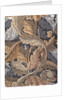 Acanthus, wallpaper designed by William Morris, 1875 by William Morris