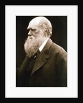 Charles Darwin, British naturalist, c1870s by Julia Margaret Cameron