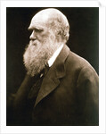 Charles Darwin, British naturalist, c1870s by Julia Margaret Cameron