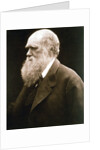 Charles Darwin, British naturalist, c1870s by Julia Margaret Cameron