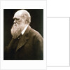 Charles Darwin, British naturalist, c1870s by Julia Margaret Cameron