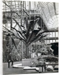 Tropical plants in the Egyptian Room, Crystal Palace, Sydenham, London, 1854 by Philip Henry Delamotte