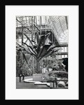 Tropical plants in the Egyptian Room, Crystal Palace, Sydenham, London, 1854 by Philip Henry Delamotte