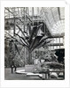Tropical plants in the Egyptian Room, Crystal Palace, Sydenham, London, 1854 by Philip Henry Delamotte