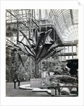 Tropical plants in the Egyptian Room, Crystal Palace, Sydenham, London, 1854 by Philip Henry Delamotte
