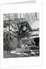 Tropical plants in the Egyptian Room, Crystal Palace, Sydenham, London, 1854 by Philip Henry Delamotte