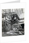 Tropical plants in the Egyptian Room, Crystal Palace, Sydenham, London, 1854 by Philip Henry Delamotte