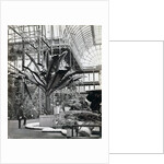 Tropical plants in the Egyptian Room, Crystal Palace, Sydenham, London, 1854 by Philip Henry Delamotte