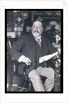 King Edward VII, c1902-1905 by W&D Downey