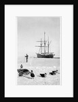 The Fram in the Bay of Whales, Antarctica, 1911-1912 by Unknown