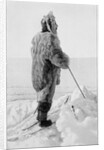 Roald Amundsen in polar kit, Antarctica, 1911-1912 by Unknown