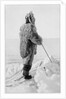 Roald Amundsen in polar kit, Antarctica, 1911-1912 by Unknown