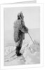 Roald Amundsen in polar kit, Antarctica, 1911-1912 by Unknown