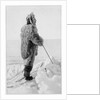Roald Amundsen in polar kit, Antarctica, 1911-1912 by Unknown