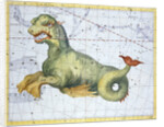 Constellation of Cetus (the Whale), 1729 by Unknown