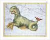 Constellation of Cetus (the Whale), 1729 by Unknown