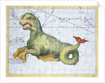 Constellation of Cetus (the Whale), 1729 by Unknown