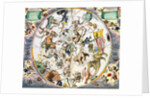 Celestial planisphere showing the signs of the zodiac, 1660-1661 by Andreas Cellarius