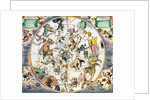 Celestial planisphere showing the signs of the zodiac, 1660-1661 by Andreas Cellarius