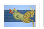 Constellation of Capricorn, 1603 by Alexander Mair