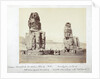 The Colossi of Memnon, Thebes, Egypt, 1862 by Francis Bedford
