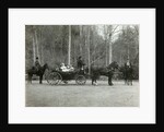 Tsar Nicholas II of Russia with his family in the park of Tsarskoye Selo, Russia, 1900s. by K von Hahn