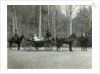 Tsar Nicholas II of Russia with his family in the park of Tsarskoye Selo, Russia, 1900s. by K von Hahn