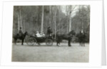 Tsar Nicholas II of Russia with his family in the park of Tsarskoye Selo, Russia, 1900s. by K von Hahn