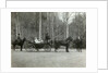 Tsar Nicholas II of Russia with his family in the park of Tsarskoye Selo, Russia, 1900s. by K von Hahn