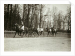 Tsar Nicholas II and Tsarina Alexandra Fyodorovna of Russia in a carriage, early 20th century by K von Hahn